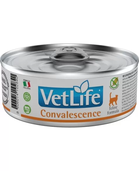 FAR VET FELINE WET CONVALESCENCE 0,085KG